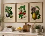 Tre retroinspirerede botaniske plakater på lys stuevæg — avocado, kakao og passionsfrugt i vintage leksikaæstetik